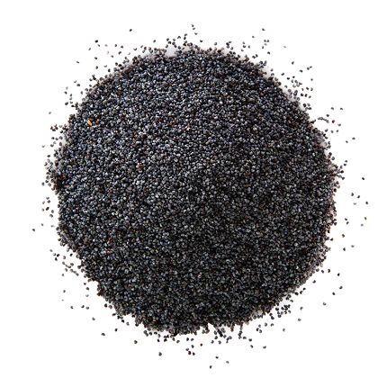 Black Seed