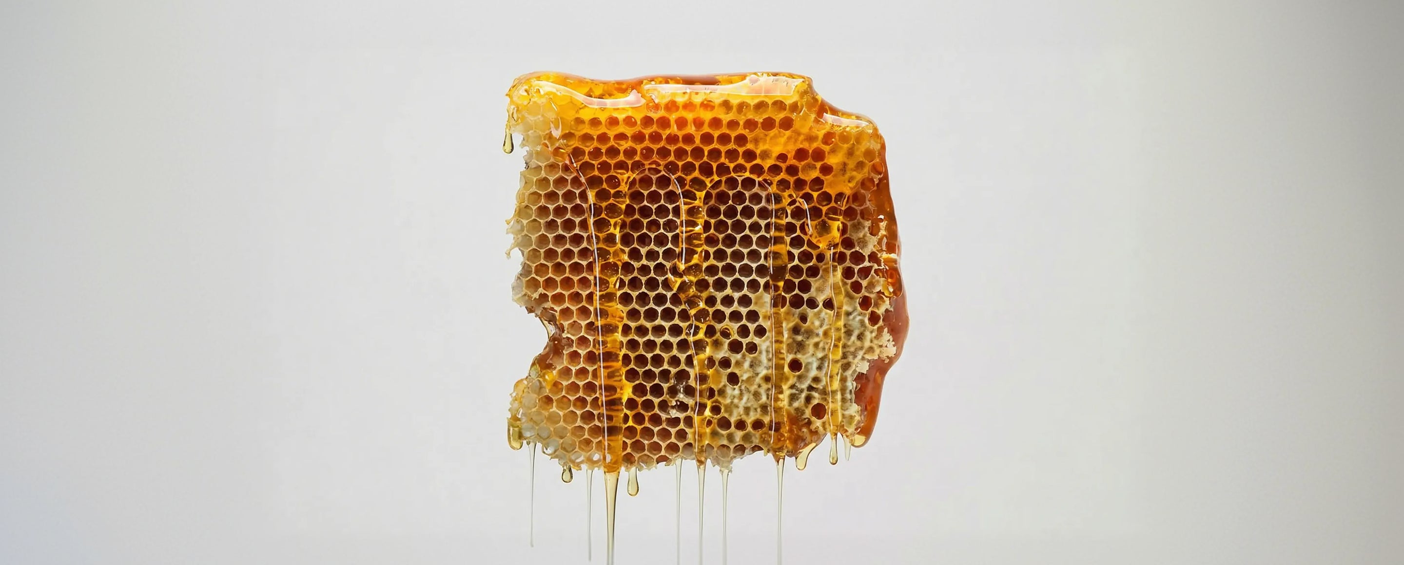 Not Sure Which Honey Is Right for You?
