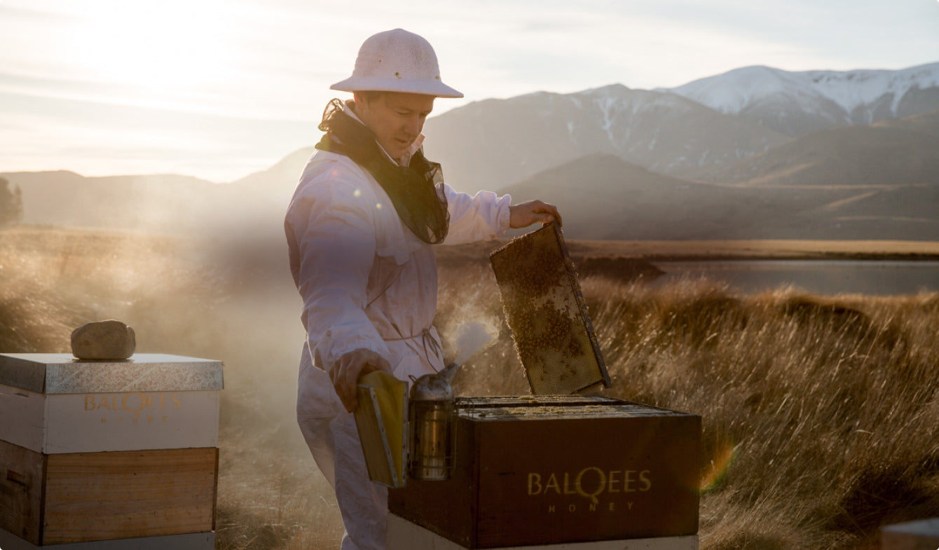 Our Commitment to Artisanal Beekeeping