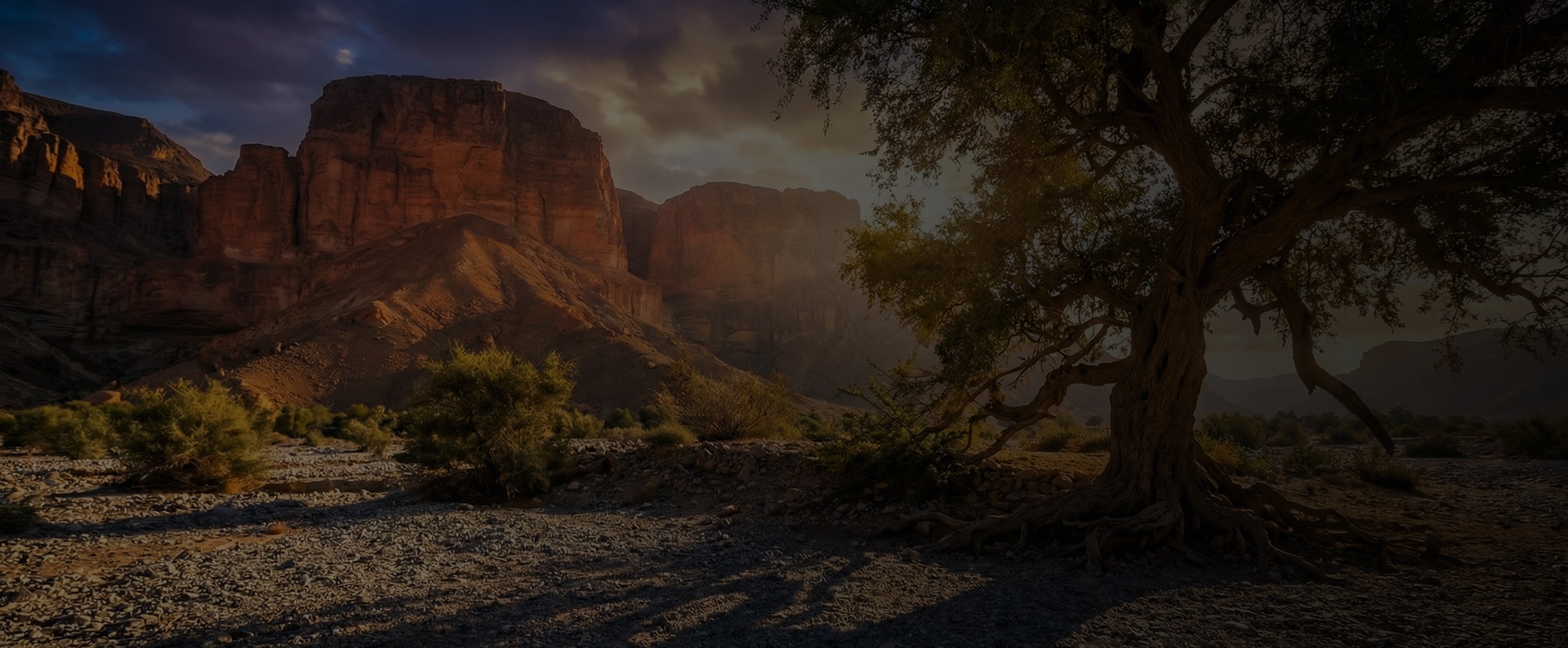 Rarity & Single-Origin Excellence