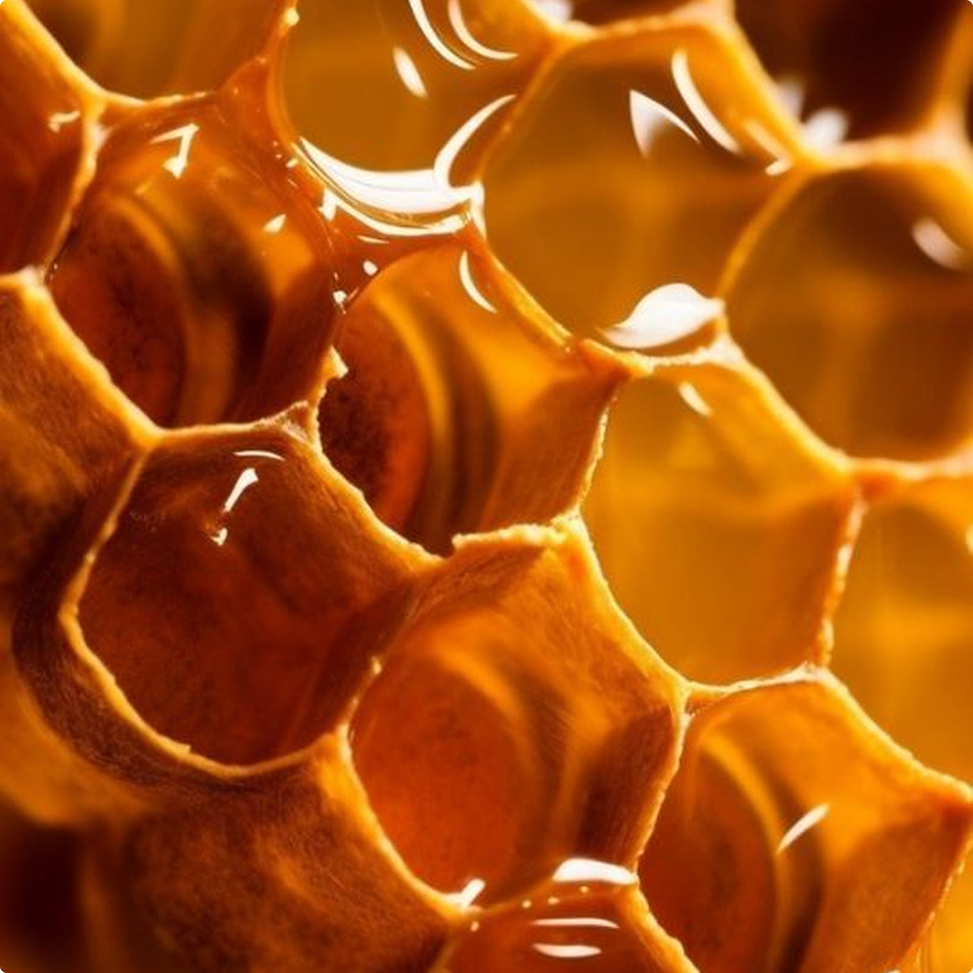 Better for your body