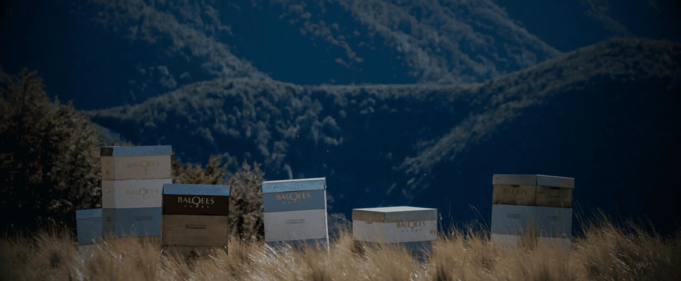 Rarity & Single-Origin Excellence